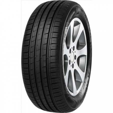 MINERVA F209 205/60 R16 96V