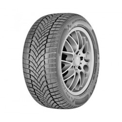 Falken EUROWINTER HS02 205/55 R19 97V XL