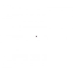 Continental TS-860S 225/40 R19 93H XL