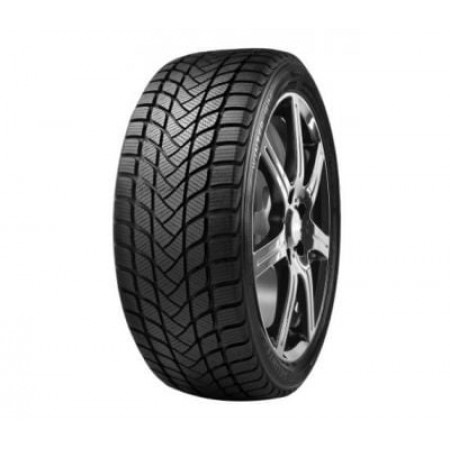 Delinte WD6 205/55 R17 95H