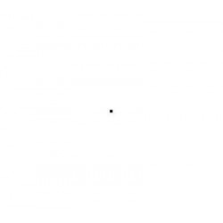 Firestone VANHAWK 2 WINTER 195/70 R15C 104R