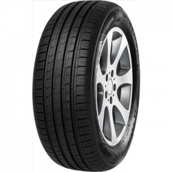 MINERVA F209 205/55 R16 91H