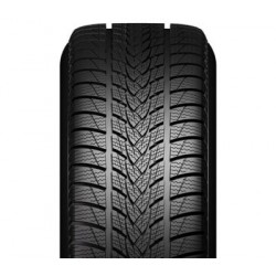 Minerva FROSTRACK UHP 255/40 R20 101V XL