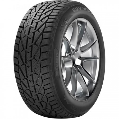 TAURUS WINTER 165/70 R13 79T