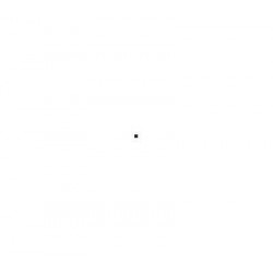 Viking FOURTECH VAN 225/75 R16C 121R